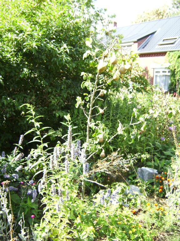 B&B Het Uilennest Bocholt Exterior photo